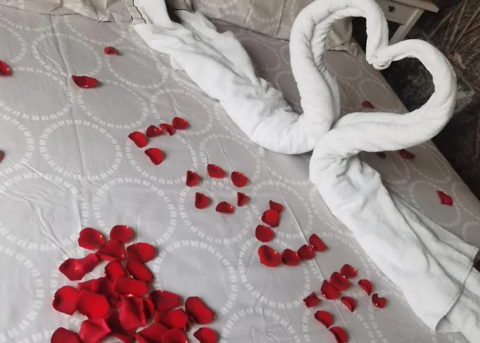 N Casa vacanze Tourcoing